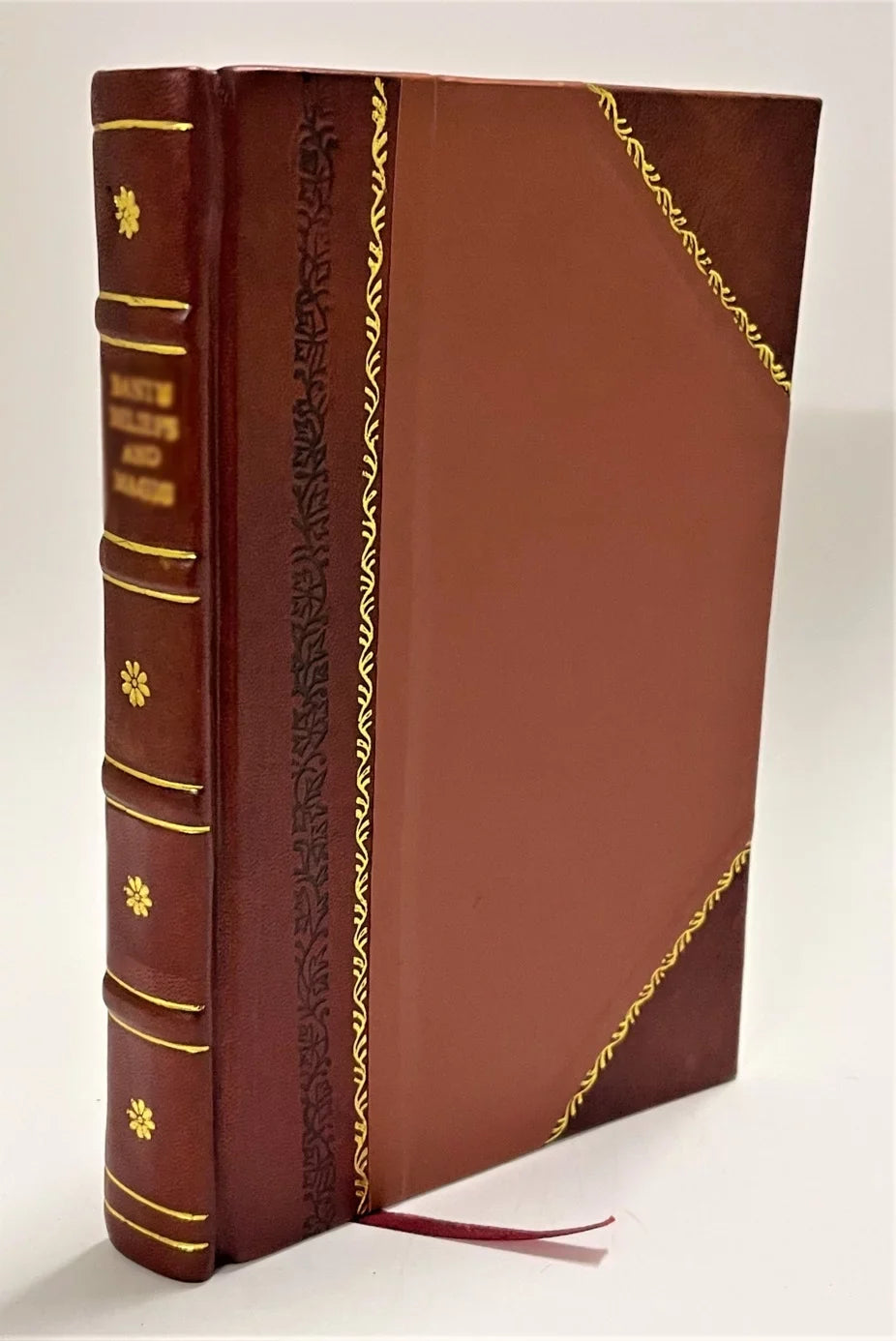 senior fellow, by the author of ' and parsons'. [ ]