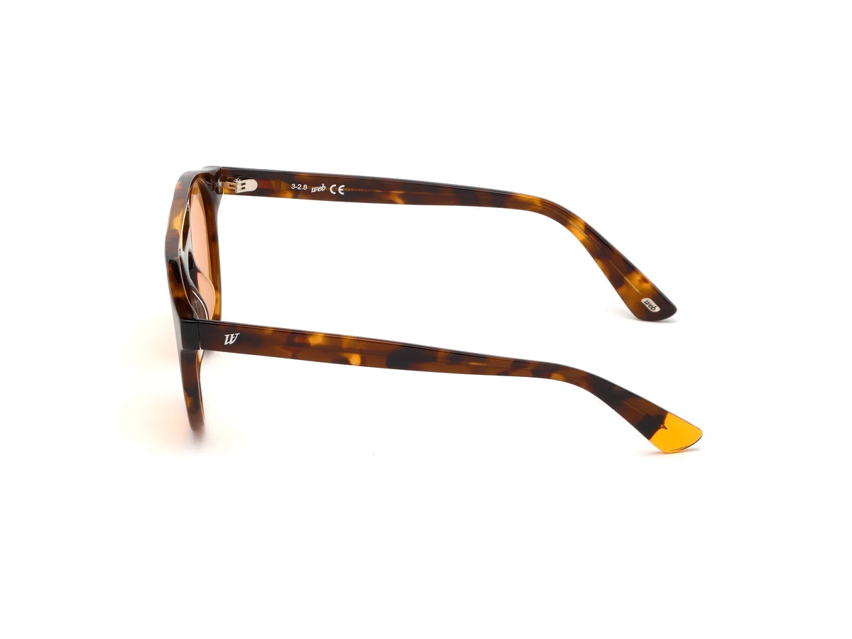 sunglasses WE0262 UNISEX 51/19/145 56J HAVANA