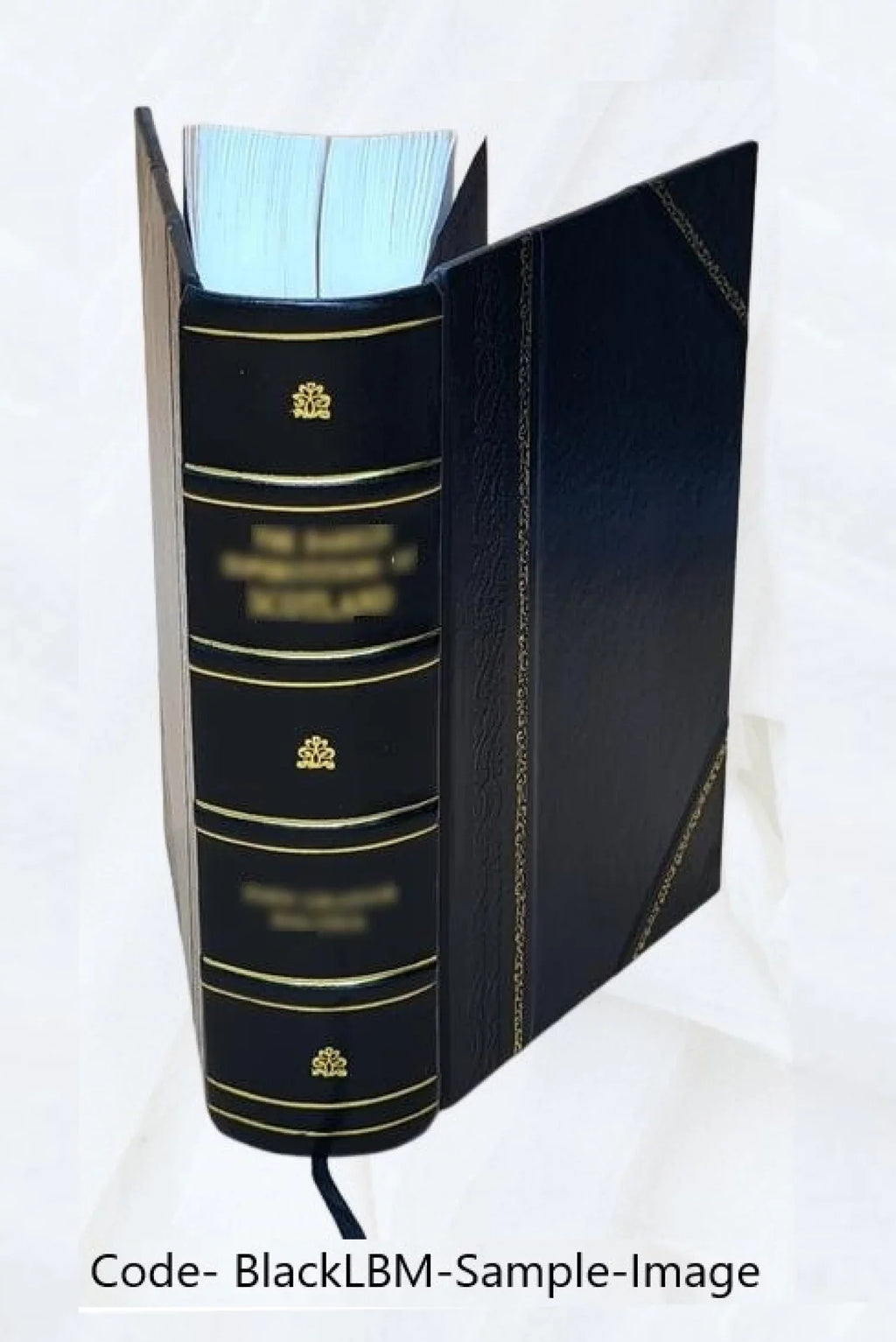; three hundred and forty-five variants of , , and o' 1893 [ ]