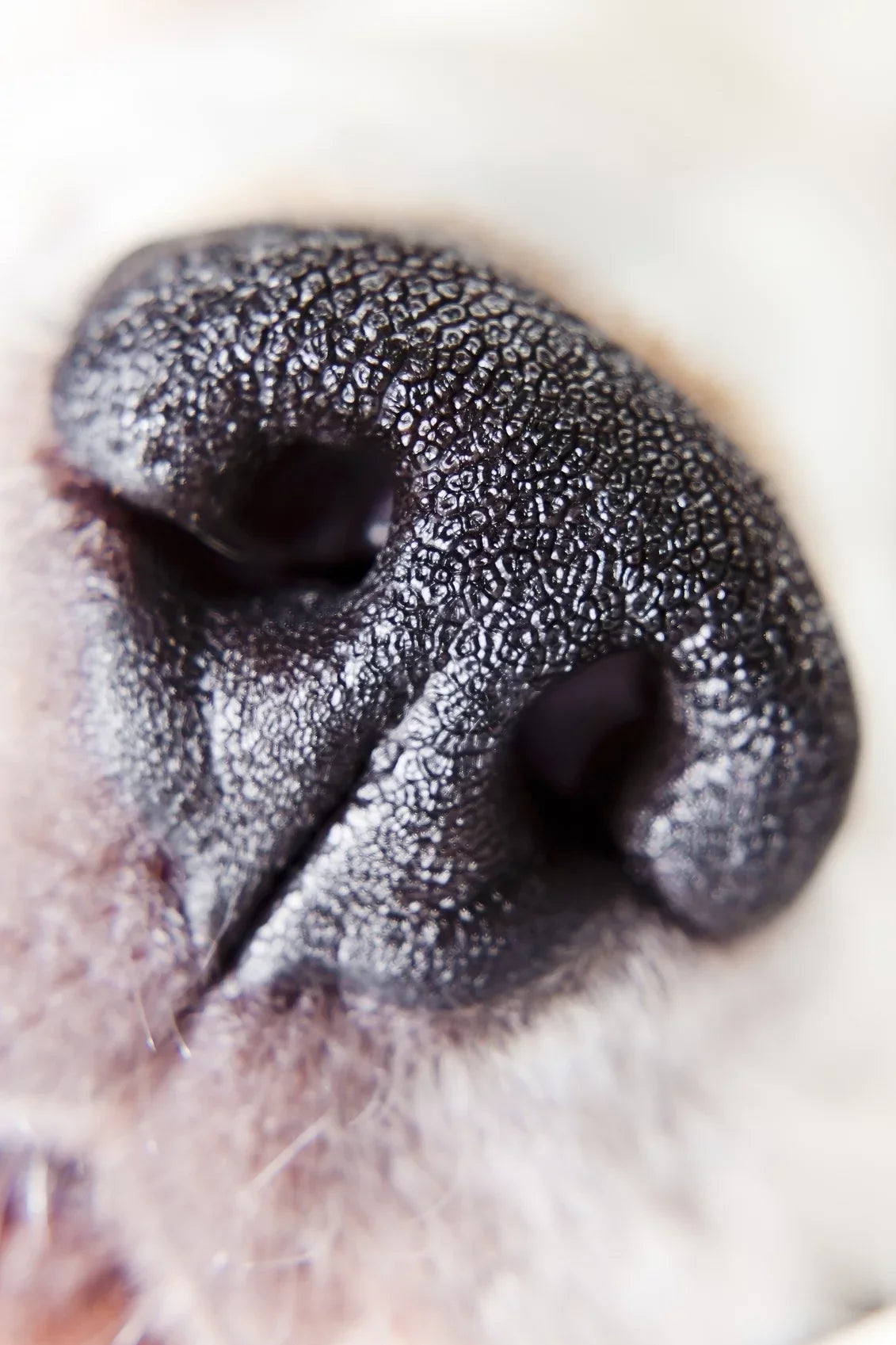 '- 18-200mm f/3.5-6.3 10x 2 - () (67mm)