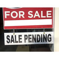 5 SALE PENDING 6” 24" (SALE PENDING) 4Mm, 4Mmthick, , & , (5SALE PEND
