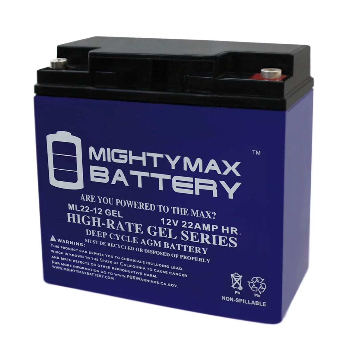 12V 22AH GEL R200/R500