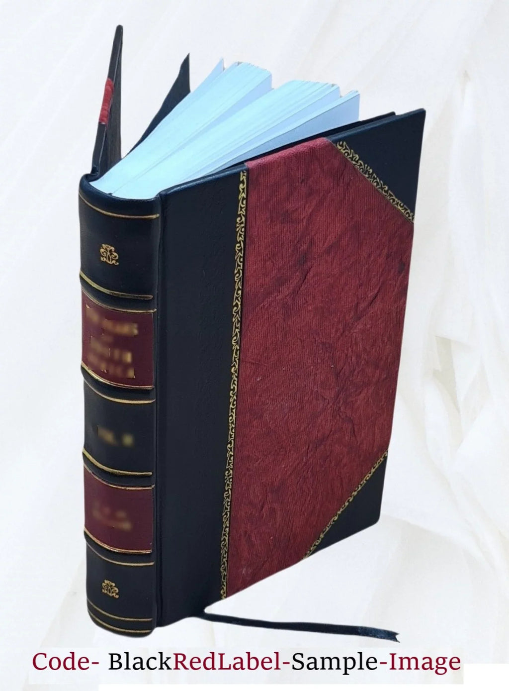 historiam regis Norvegiæ illustrans. codice membranaceo bibliothecæ -margæebæ cum versione latina et commentario edidit ... . 1815 [ ]