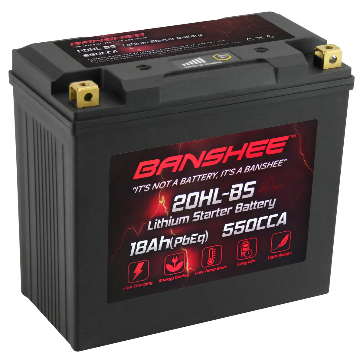 YTX20L-BS LiFePO4 with - 215 2016 to 2016