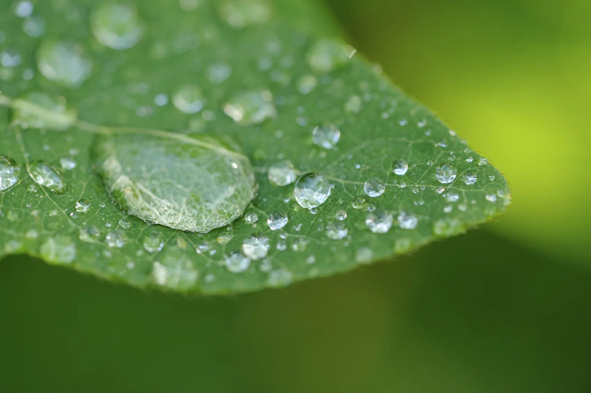 '- 18-200mm f/3.5-6.3 10x 2 - () (67mm)