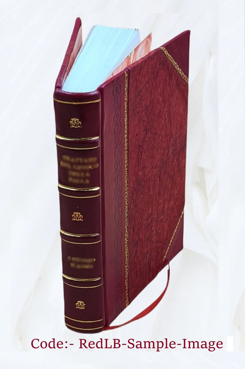 concerning the constitution and order of the ministry: addressed to the members of the churches in the city of . which is prefixed, a letter on the present as