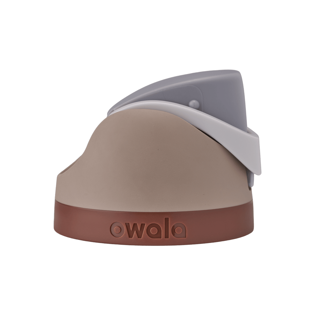 Brunch Bunch