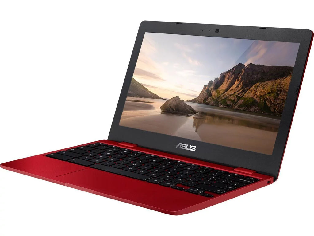 ASUS in , 12, , 32GB , 4GB RAM, C223NA-DH02-RD